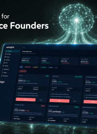 What Is NetSights? The AI Scaleboard for Ecommerce Founders