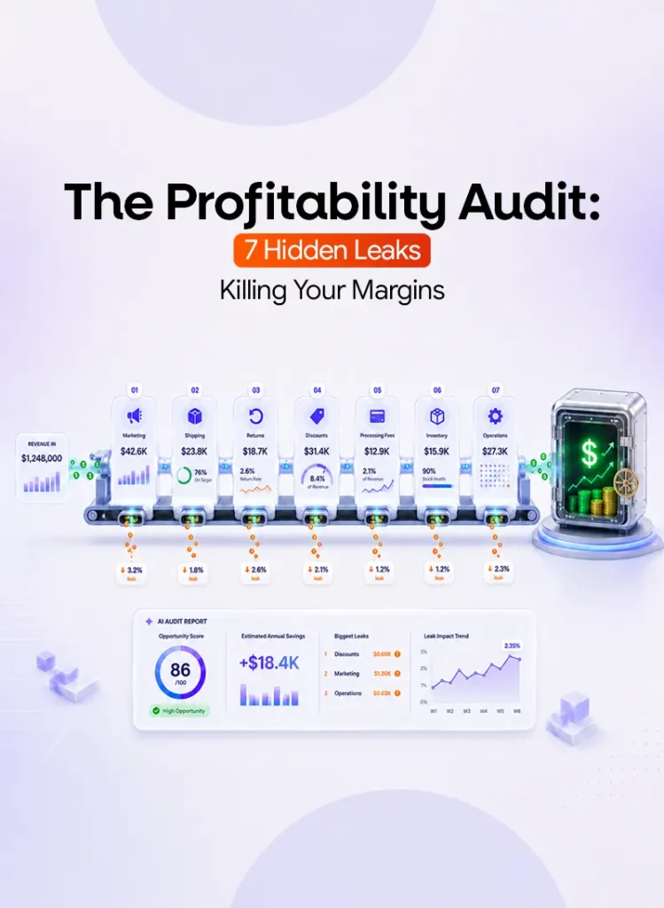 Profit Leaks, Profitability Audit - Netsights.ai