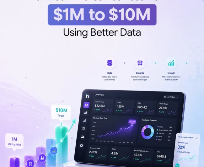 ecommerce growth strategy from 1m to 10m - Netsights.ai