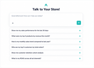talk to your store - netsights.ai